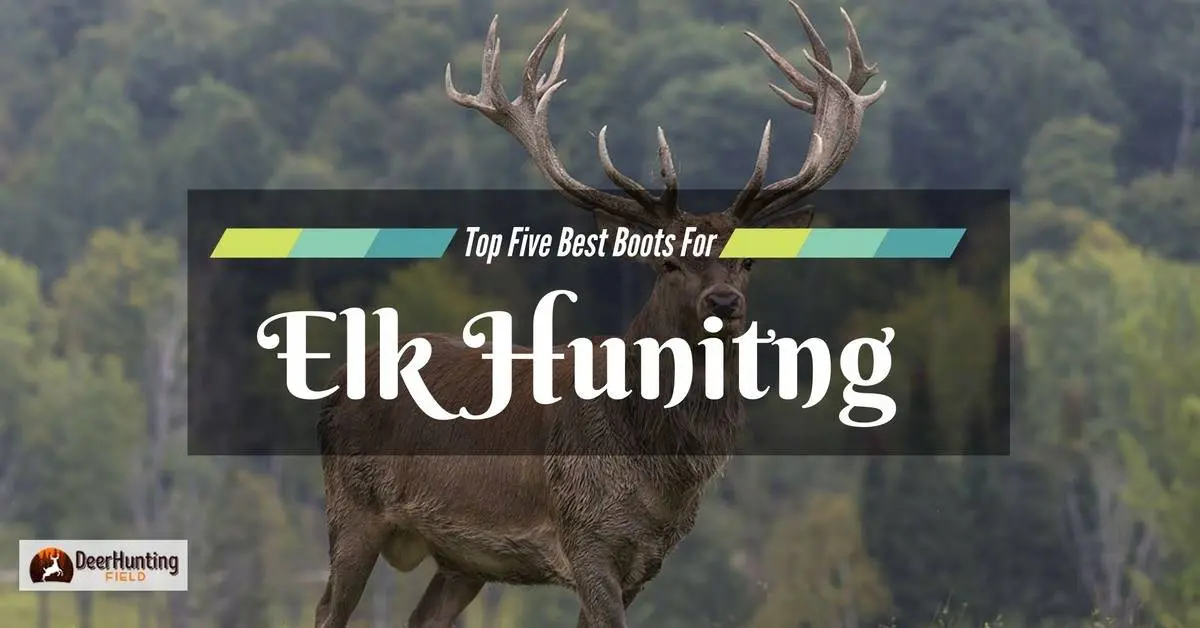 Elk Hunting 101: 5 of the Best Elk Hunting Boots