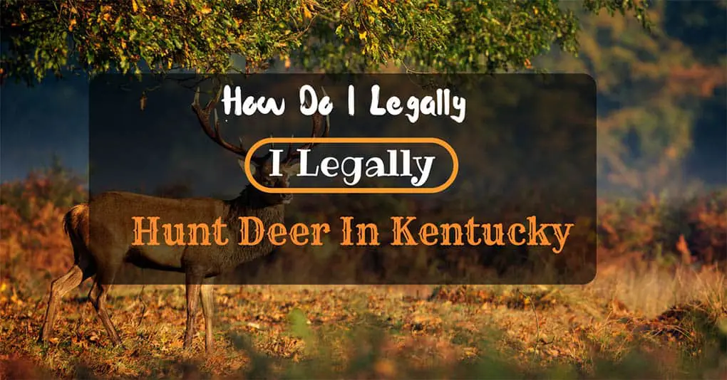 Kentucky Deer Hunting – How Do I Legally Hunt Deer In Kentucky?