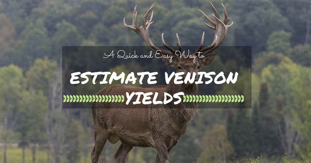 How Much Meat From a Deer – Quick and Easy Way to Estimate Venison Yields