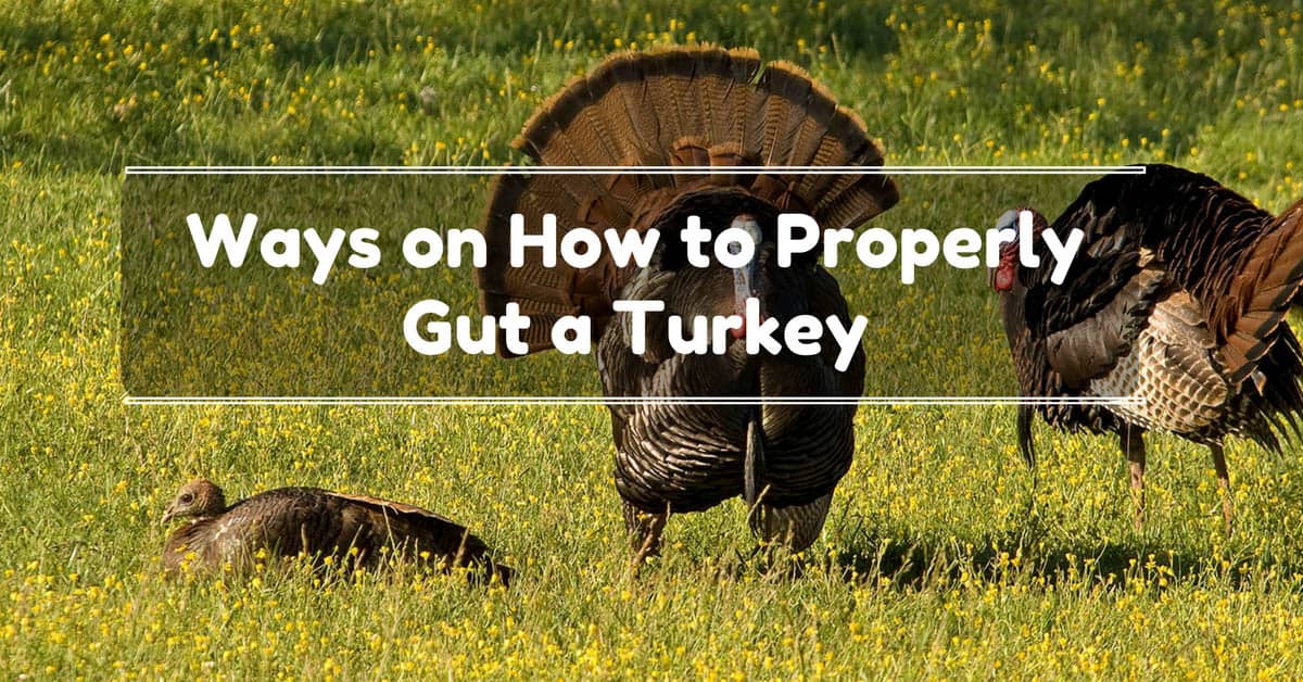 How To Gut A Turkey