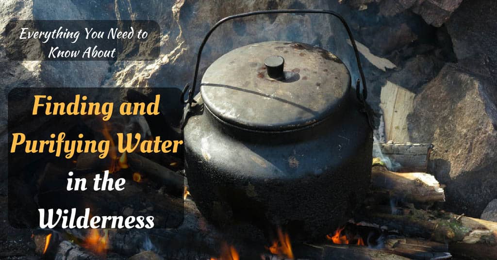 Finding and Purifying Water in the Wilderness
